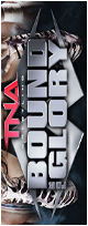 Details on VIP Chat During Bound for Glory